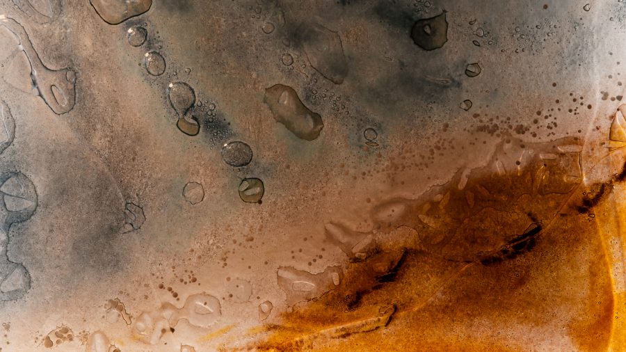 Güstrower | Haffhus |